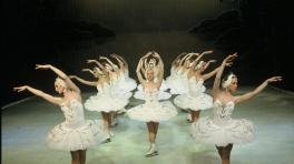 El Lago de los Cisnes regresa a Medellín