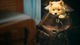 Foto: Cortesía Cine Color Colombia.