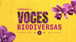 Plagas y semillas, ¿qué está pasando en Tumaco? 