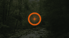 Crédito: Ana Aguirre, artista colombiana