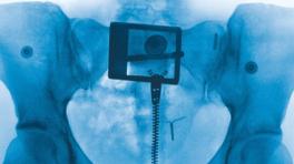 Lorde lanza 'Virgin', su más reciente álbum desde 'Solar Power' | Foto de cortesía