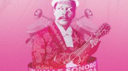 Mercado Musical del Valle 2025