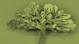 Foto tomada de ccb.org.co