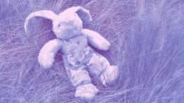 Foto por Nevit Dilmen de Wikimedia Commons