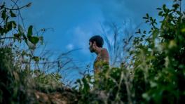 Mente orgánica, foto tomada de facebook