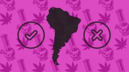 A propósito del 420 ¿Cómo va la regulación de la marihuana en Suramérica?
