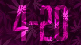 420: la historia detrás del día que celebra a la marihuana 