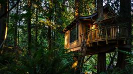 Nido Parque Natural Chicaque.