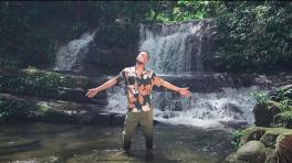 Un viaje a Tutunendo con "Polka" de Alexis Play