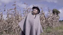 cortometrajes colombianos para ver gratis en RTVCPlay 