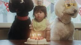 Perros y bebés instagramers en "Fix Me" el nuevo vídeo de Beck 