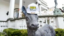 Fotos tomadas de Facebook: Berbetronik Party