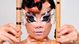 Björk. Foto tomada de pitchfork.com