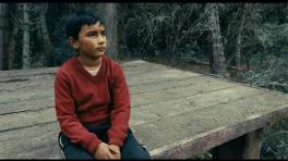 Imagen de "El tamaño de las cosas"