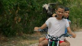 ‘El día de la cabra’: Providencia mística y musical 