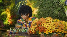 Fotos cortesía de Edna Liliana Valencia