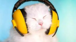 Foto tomada de Headtopics.