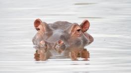 Foto por: Glen Carrie