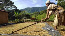 Fotos por: Leonardo Cortina.