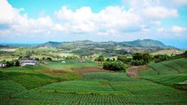 La Florida / Foto de Alexis Múnera 