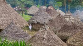 Foto: Sébastien Goldberg en Unsplash