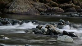 Foto de María Leonor Rasch 