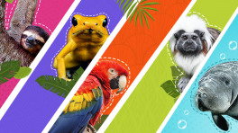 Foto tomada de Mi Señal