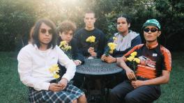 Margarita Siempre Viva - Foto de Jorge Moreno Blanco