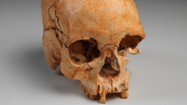 Foto tomada de: Google Arts & Culture