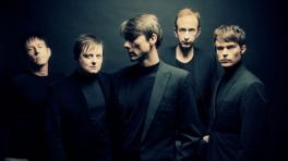 Suede. Foto tomada de www.chordblossom.com