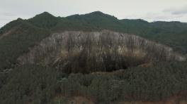 Foto: Cortesía Verde como el oro