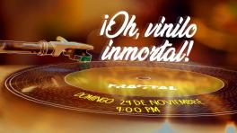 Imagen cortesía de Fractal