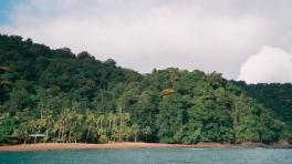 Pacífico colombiano. Foto de Wikimedia Commons.