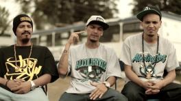 Alcolirykoz. Foto tomada de Youtube