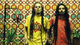 Nuevo video de Alerta Kamarada