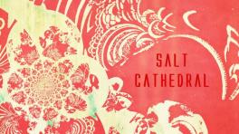 Salt Cathedral estrena canción