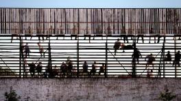 'El otro fútbol' de Federico PEretti