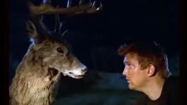 ¿Qué tiene el riff de "No One Knows"?