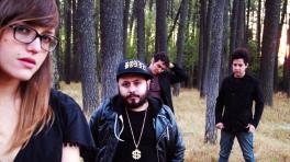 Bonnz de Hello Seahorse!