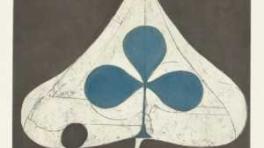 Grizzly Bear 'Shields'