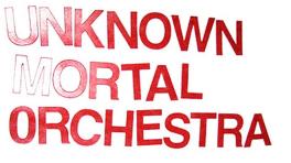 Unknown Mortal Orchestra "'Bicycle"