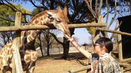 Bomba Estéreo nos relata su travesía por África