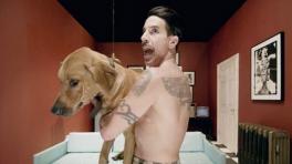 "Look Around, nuevo video de Red Hot Chili Peppers