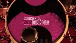 Recomendaciones del Concierto Radiónica 2013