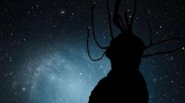 "Marciano" de Alfonso Espriella