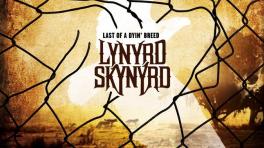 Lo nuevo de Lynyrd Skynyrd