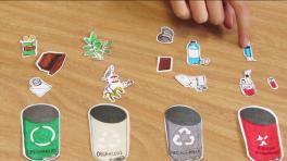 320 Elefantes Asiáticos En 354 Canchas De Fútbol