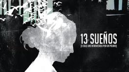 Teatro: "13 sueños" (O solo uno atravesado por un pájaro)