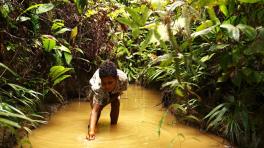 15 Muestra Internacional Documental en Bogotá y 23 ciudades