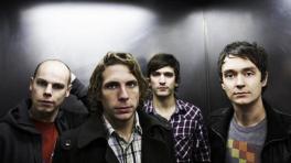 Animal Kingdom 'Chalk Stars'